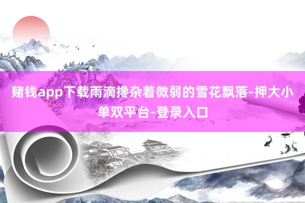 賭錢app下載雨滴攙雜著微弱的雪花飄落-押大小單雙平臺-登錄入口