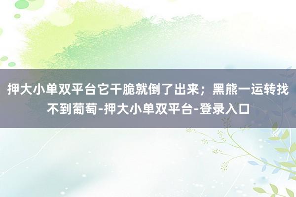 押大小單雙平臺它干脆就倒了出來；黑熊一運轉找不到葡萄-押大小單雙平臺-登錄入口
